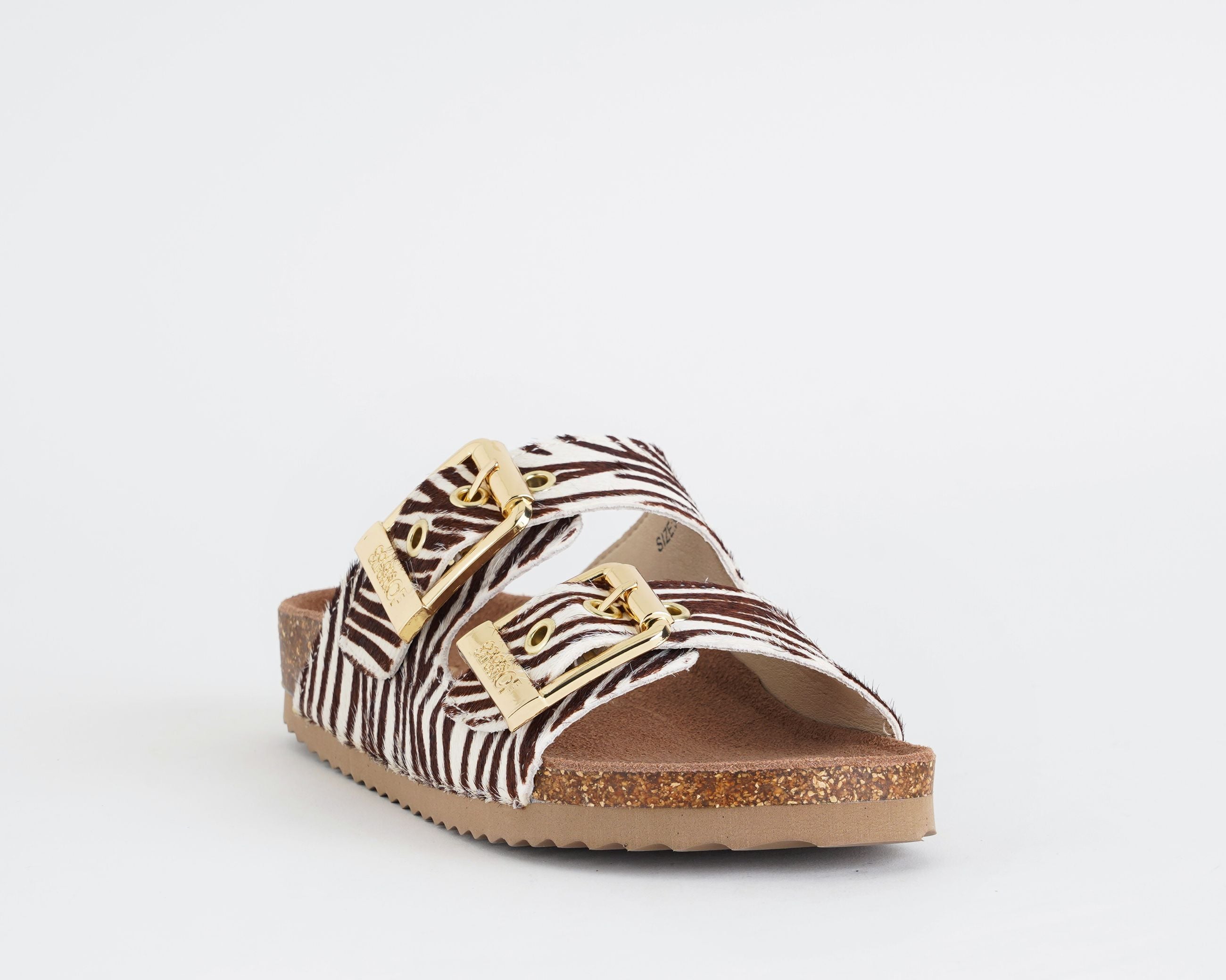 HC.BIO502/ZEB COLORS OF CALIFORNIA ZEBRA