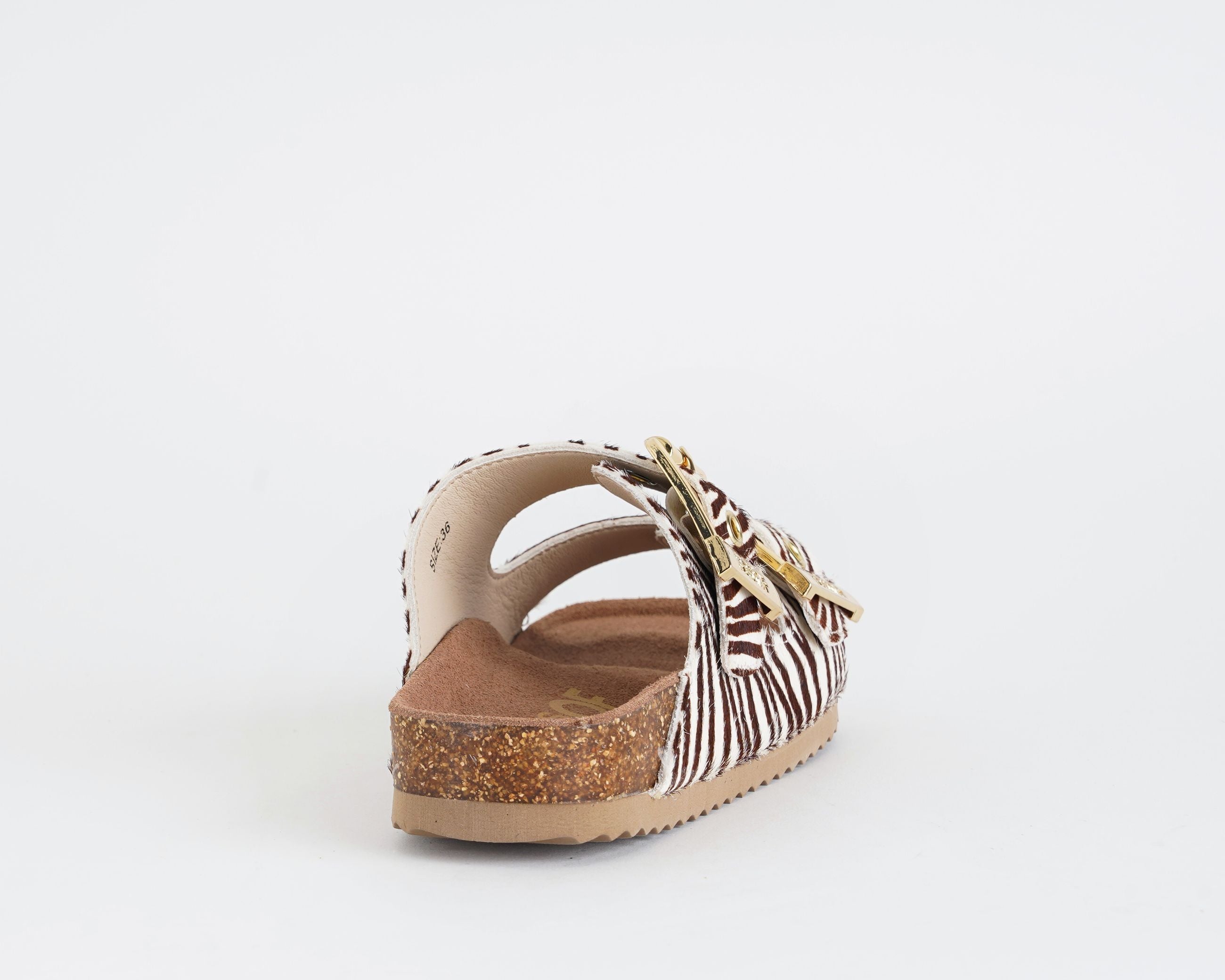 HC.BIO502/ZEB COLORS OF CALIFORNIA ZEBRA