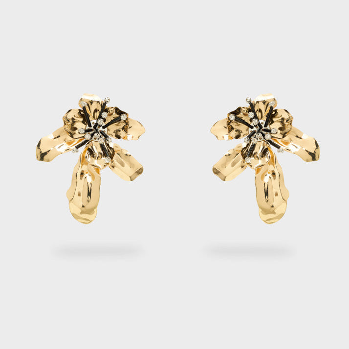 Orecchini Nalì EMOR1860 Oro/Argento Donna