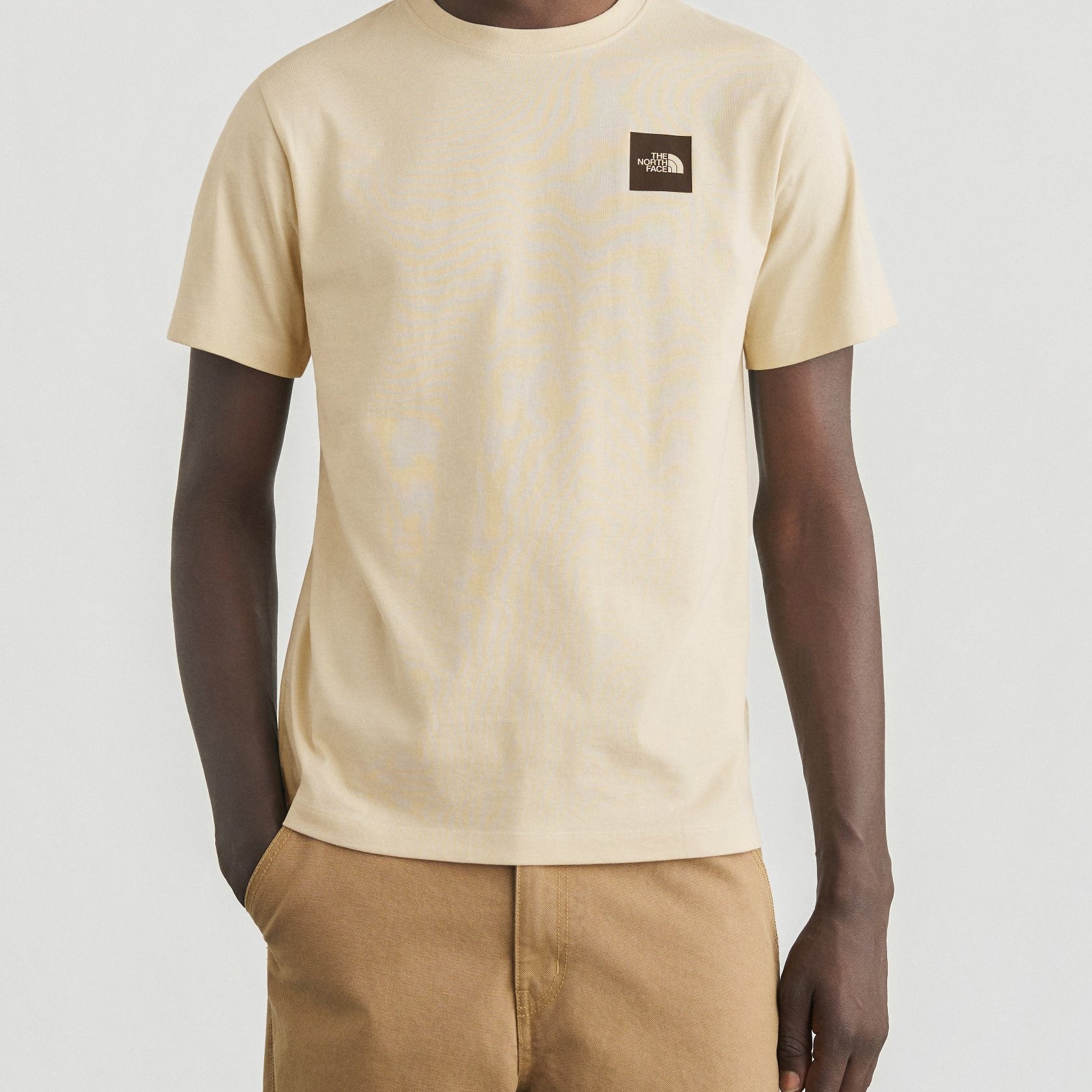 THE NORTH FACE NF0A8G9CDOM1 T-Shirt Evolution Box Half Dome Regular colore Beige (Desert Stone)