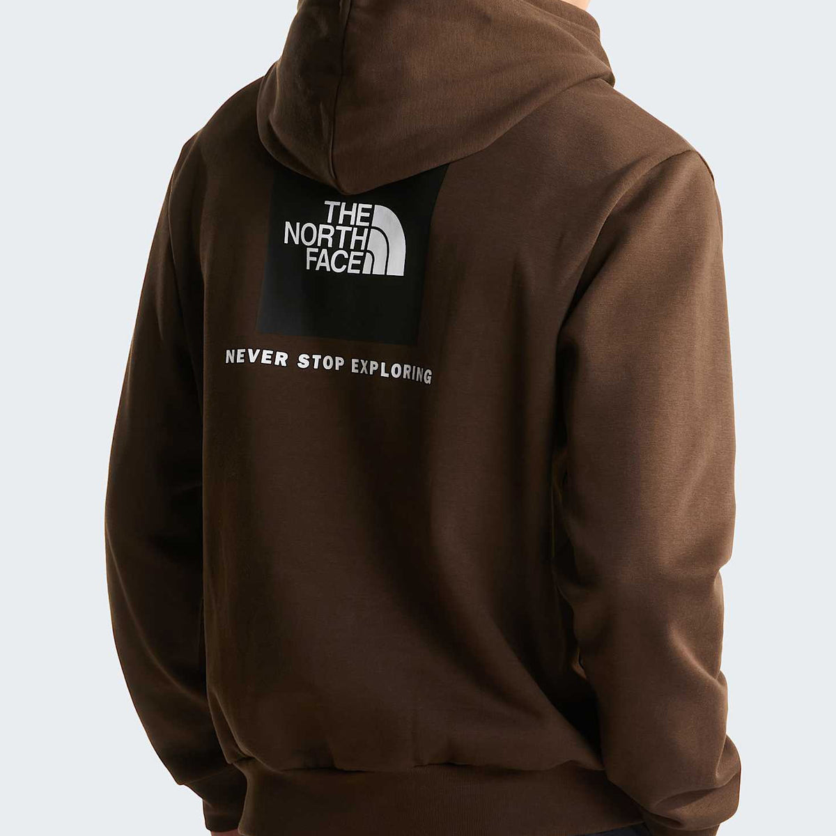 Felpa con cappuccio The North Face Evolution Box NSE Regular NF0A8CWPNMF1 Dark Chestnut Uomo