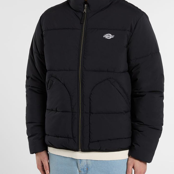 Piumino Dickies SUMMERDALE DK0A87OGBLK1 nero Uomo