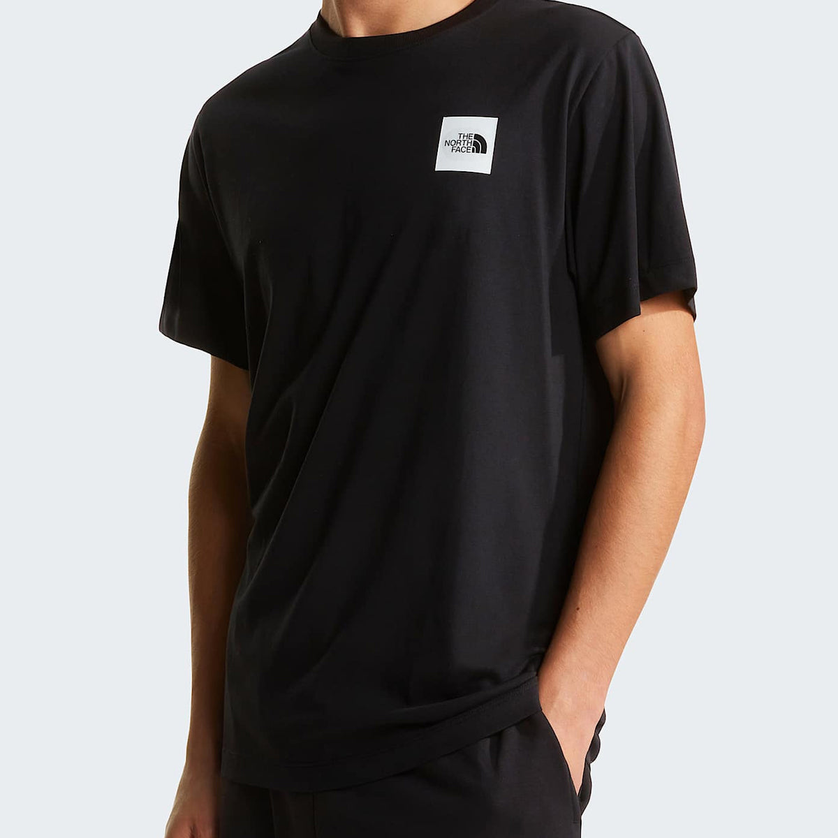 T-Shirt The North Face Evolution Box Half Dome Regular NF0A8G9CJK31 Nero Uomo