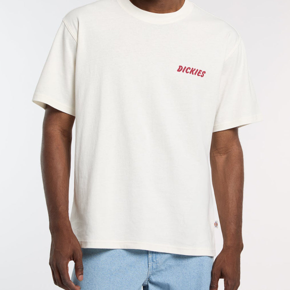 T-Shirt Dickies Dry Ridge DK0A8853C481 Uomo