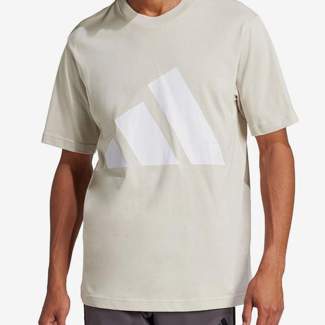 T-shirt Adidas Essentials Big Logo JE8933 Wonder Alumina uomo vista frontale