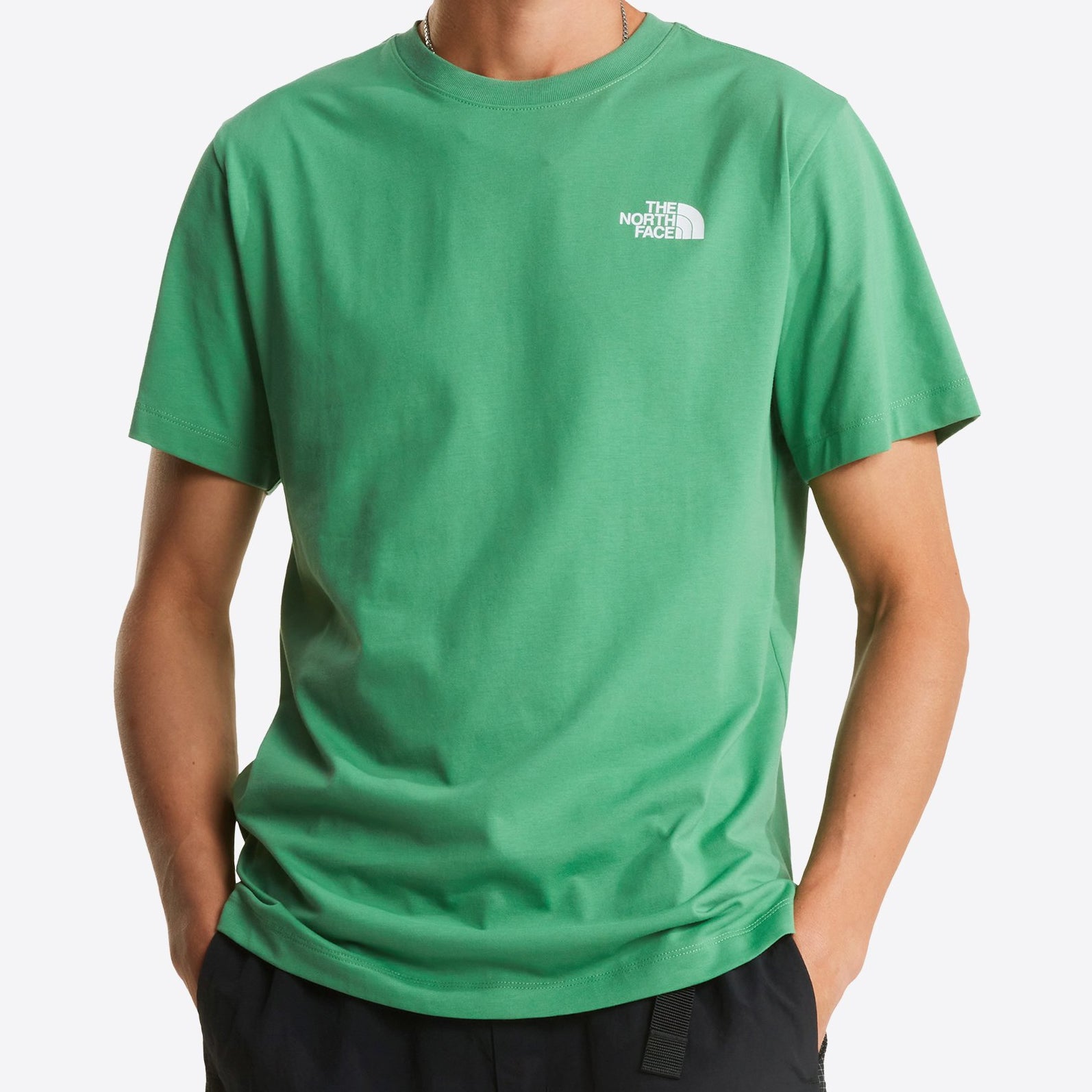 THE NORTH FACE NF0A8B6KG571 T-Shirt Evolution NSE Box Regular colore Verde (Dimmed Algae)