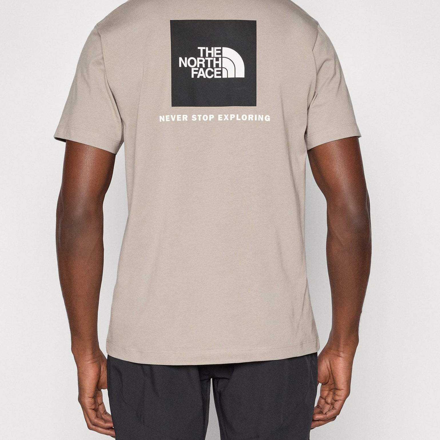THE NORTH FACE NF0A8B6K2MB1 T-Shirt Evolution NSE Box Regular colore Grigio (Stone Slab)
