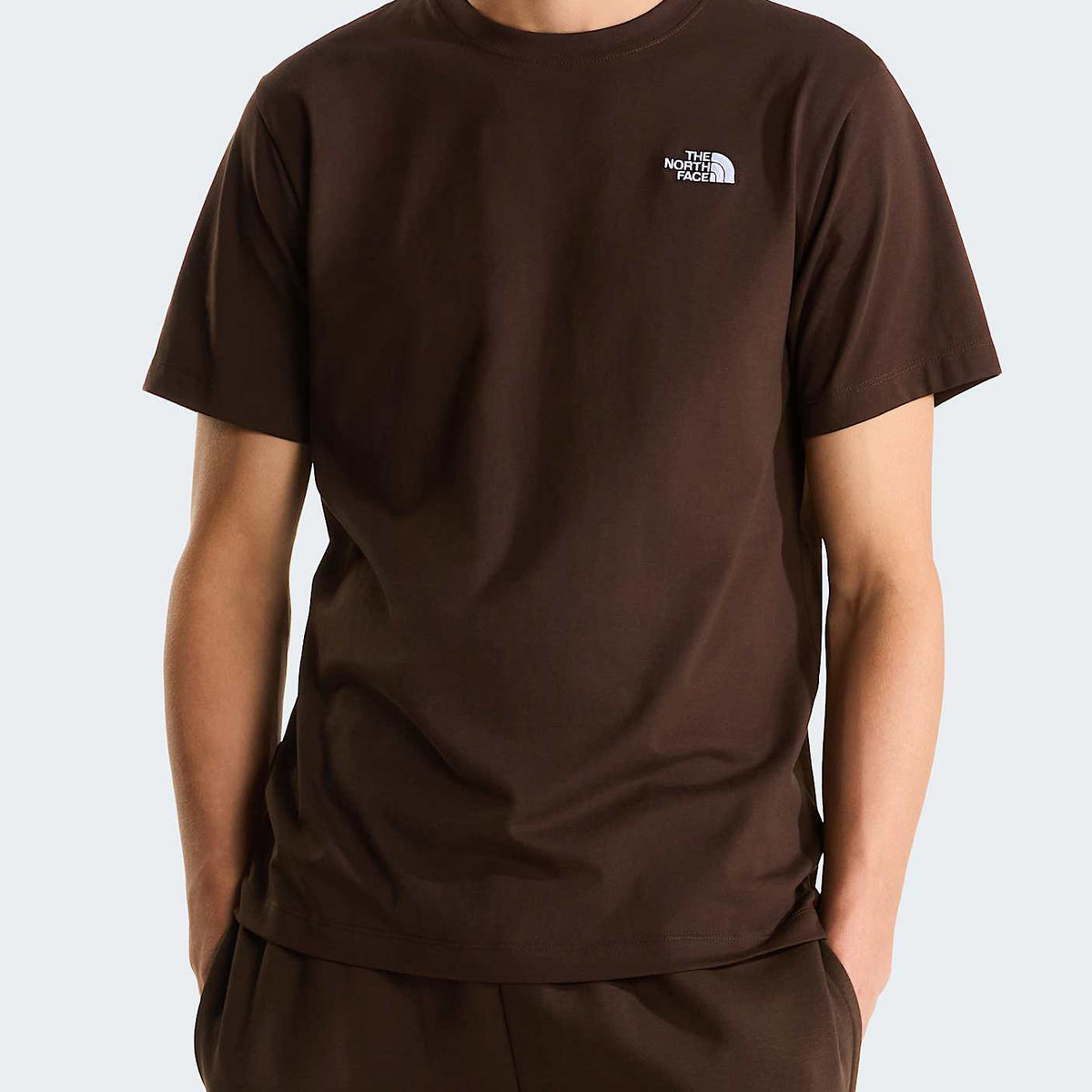 T-Shirt The North Face Evolution Simple Dome Regular NF0A8CZ2NMF1 Dark Chestnut Uomo