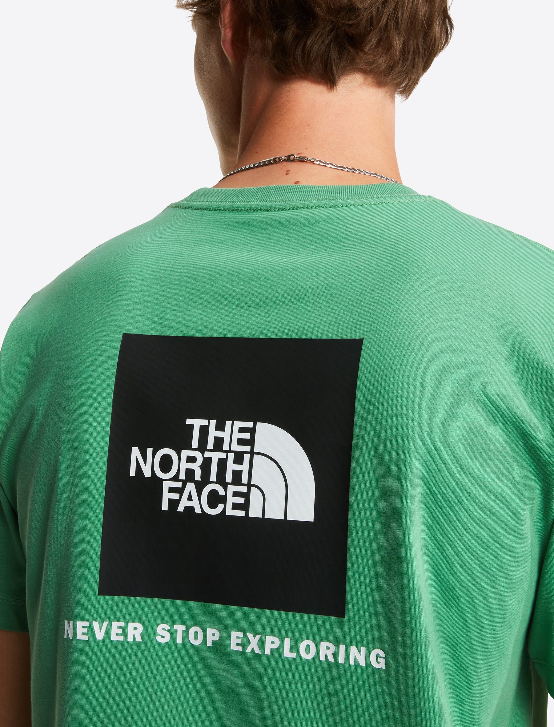 THE NORTH FACE NF0A8B6KG571 T-Shirt Evolution NSE Box Regular colore Verde (Dimmed Algae)
