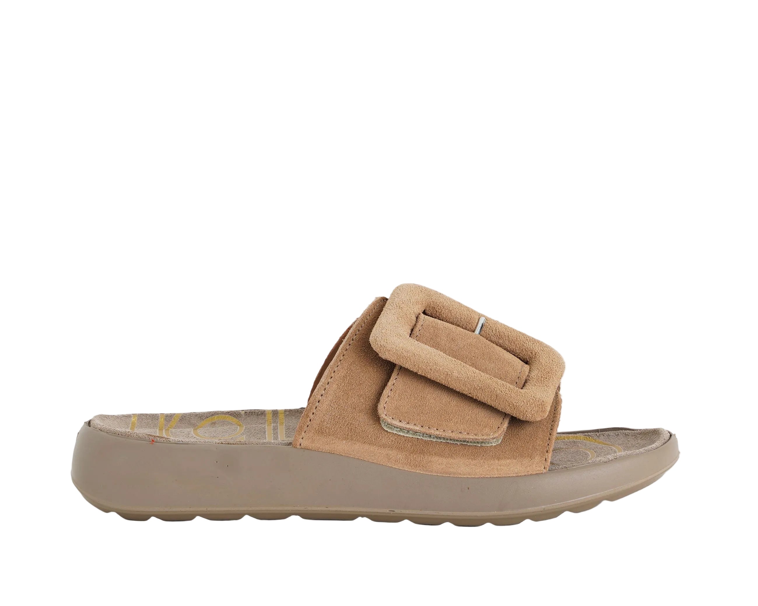 1179444 IGI&CO Camel