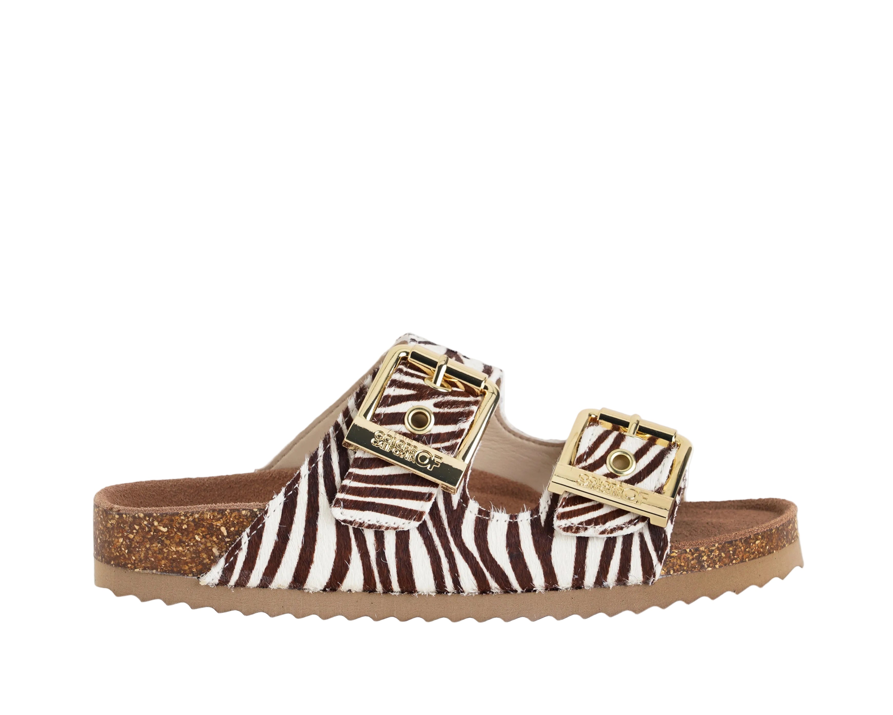 HC.BIO502/ZEB COLORS OF CALIFORNIA ZEBRA

