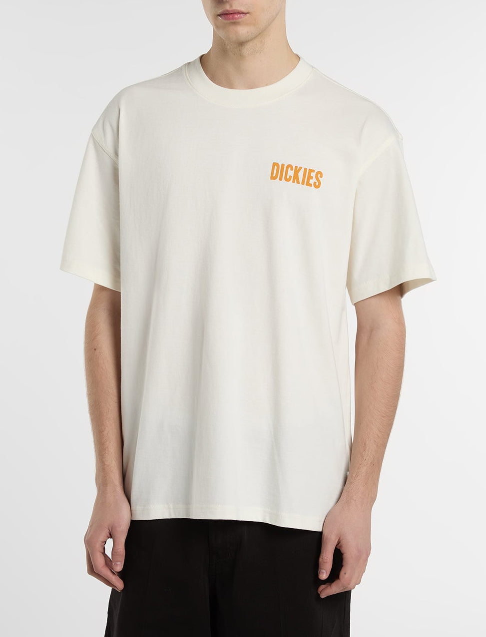 Dickies Wolfhurst T-Shirt Egret DK0A88QOC481 – T-shirt uomo cotone ringspun 210g