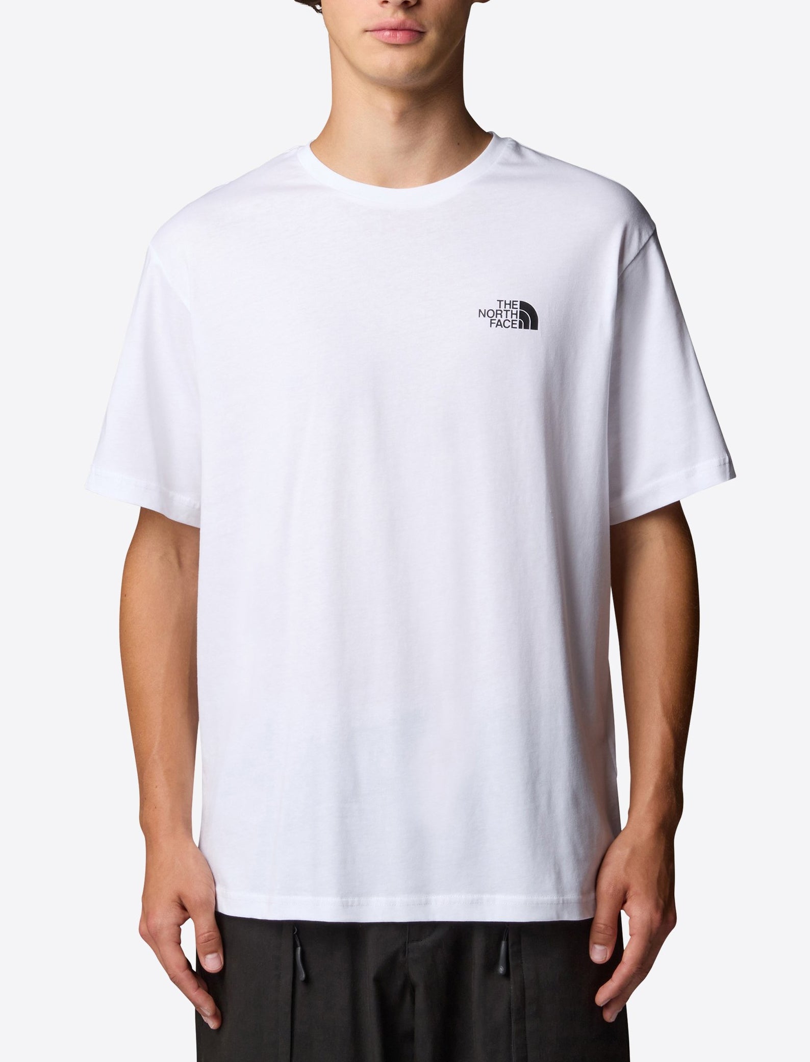 THE NORTH FACE NF0A8GV0FN41 T-Shirt Half Dome Photo Regular colore Bianco (TNF White)

