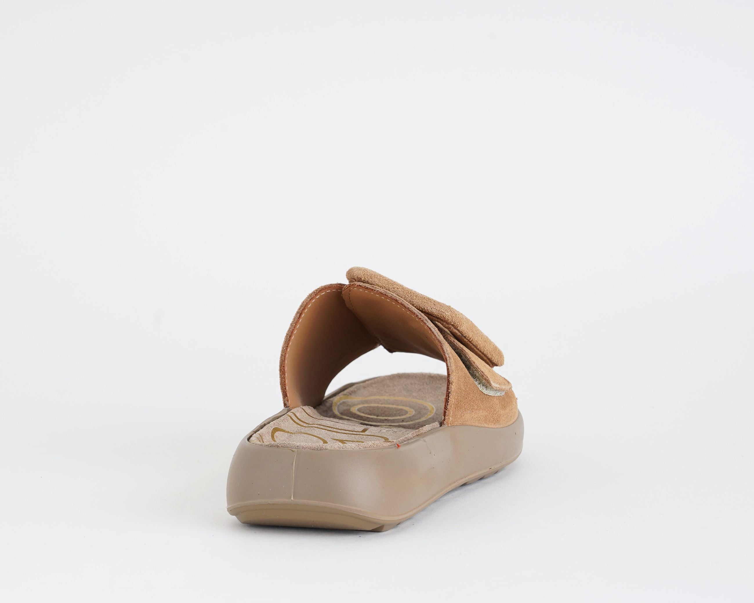 1179444 IGI&CO Camel