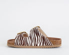 HC.BIO502/ZEB COLORS OF CALIFORNIA ZEBRA

