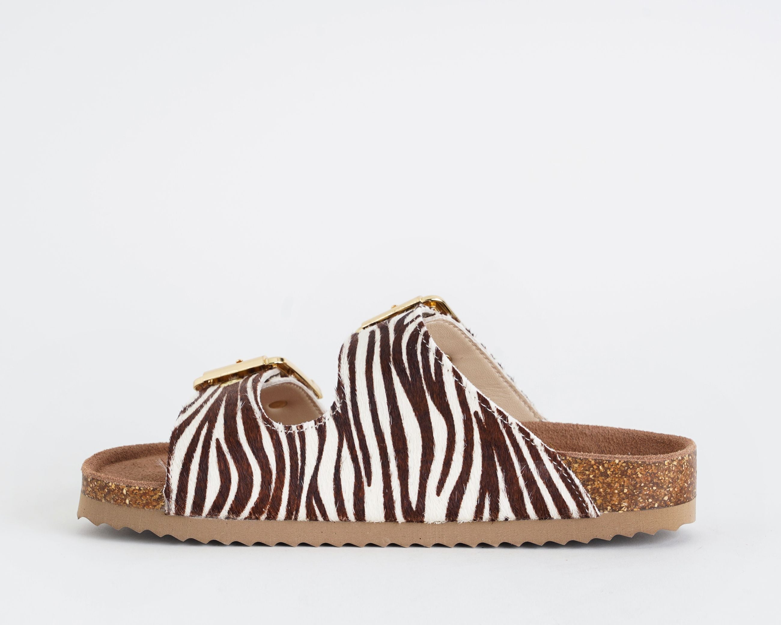 HC.BIO502/ZEB COLORS OF CALIFORNIA ZEBRA

