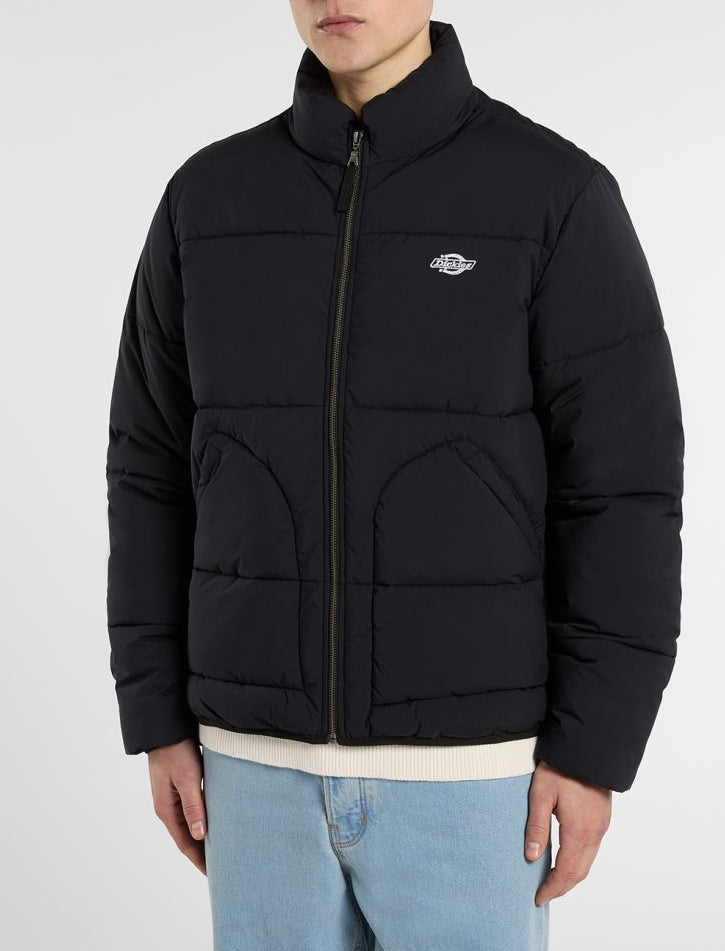 Piumino Dickies SUMMERDALE DK0A87OGBLK1 nero Uomo