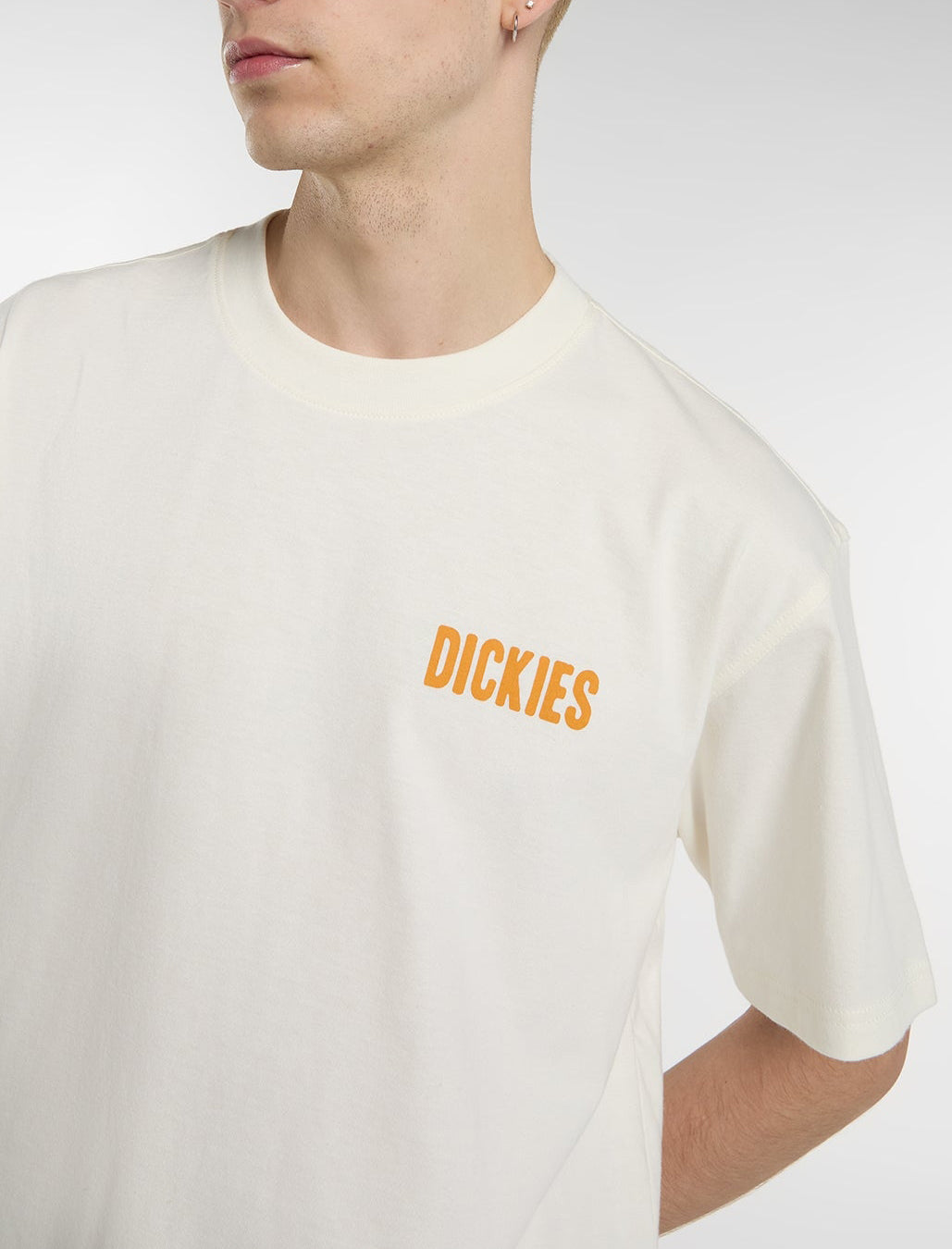 Dickies Wolfhurst T-Shirt Egret DK0A88QOC481 – T-shirt uomo cotone ringspun 210g