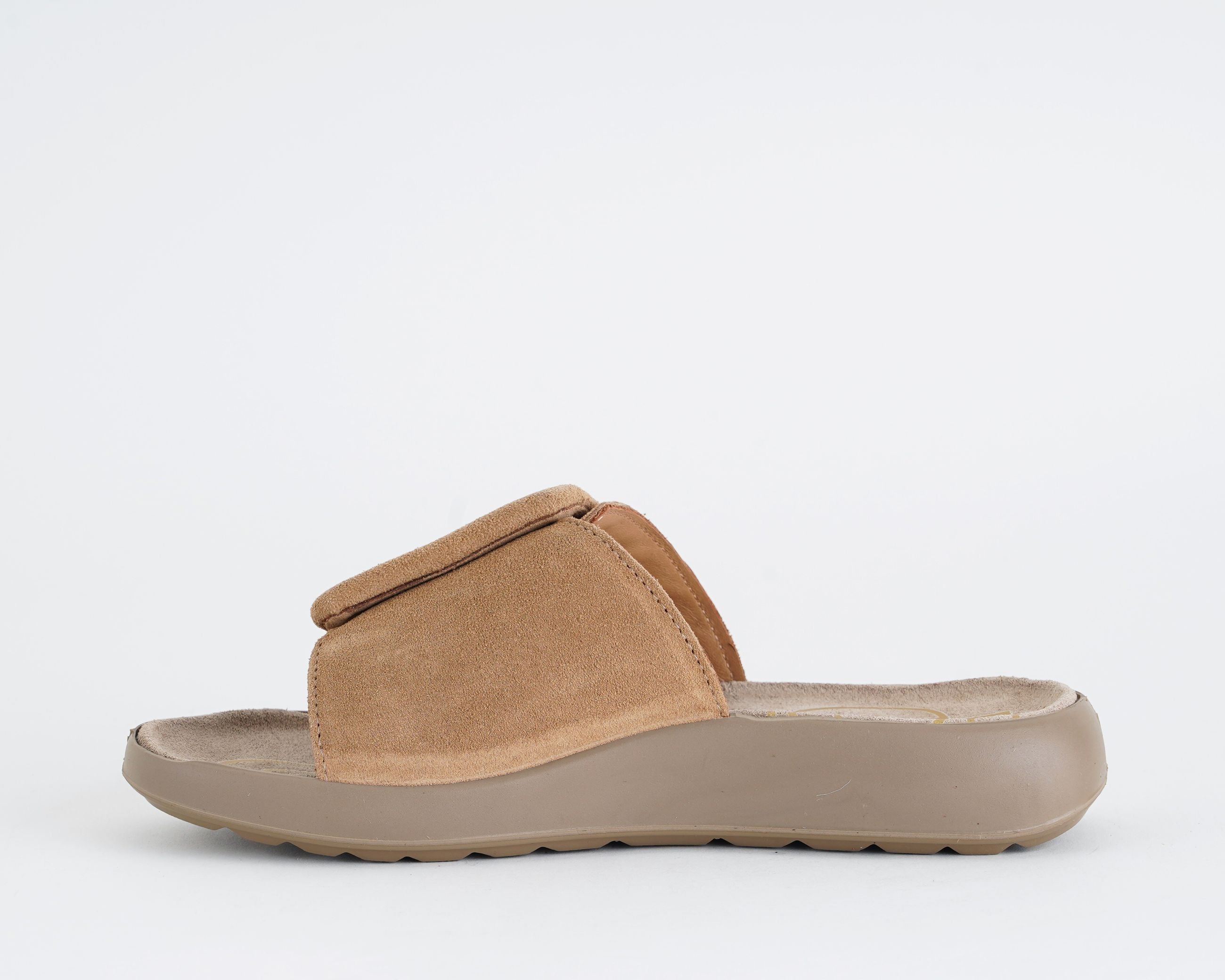 1179444 IGI&CO Camel