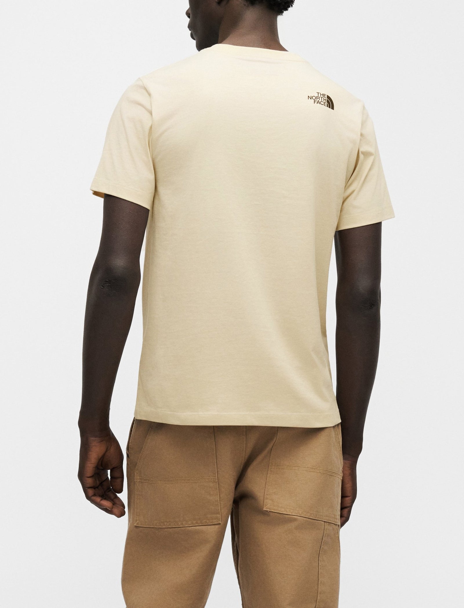 THE NORTH FACE NF0A8G9CDOM1 T-Shirt Evolution Box Half Dome Regular colore Beige (Desert Stone)
