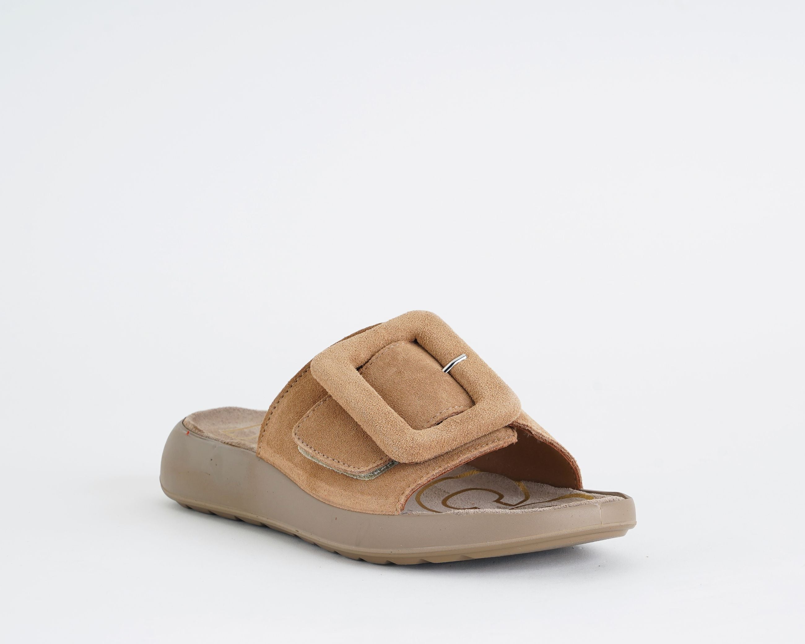 1179444 IGI&CO Camel